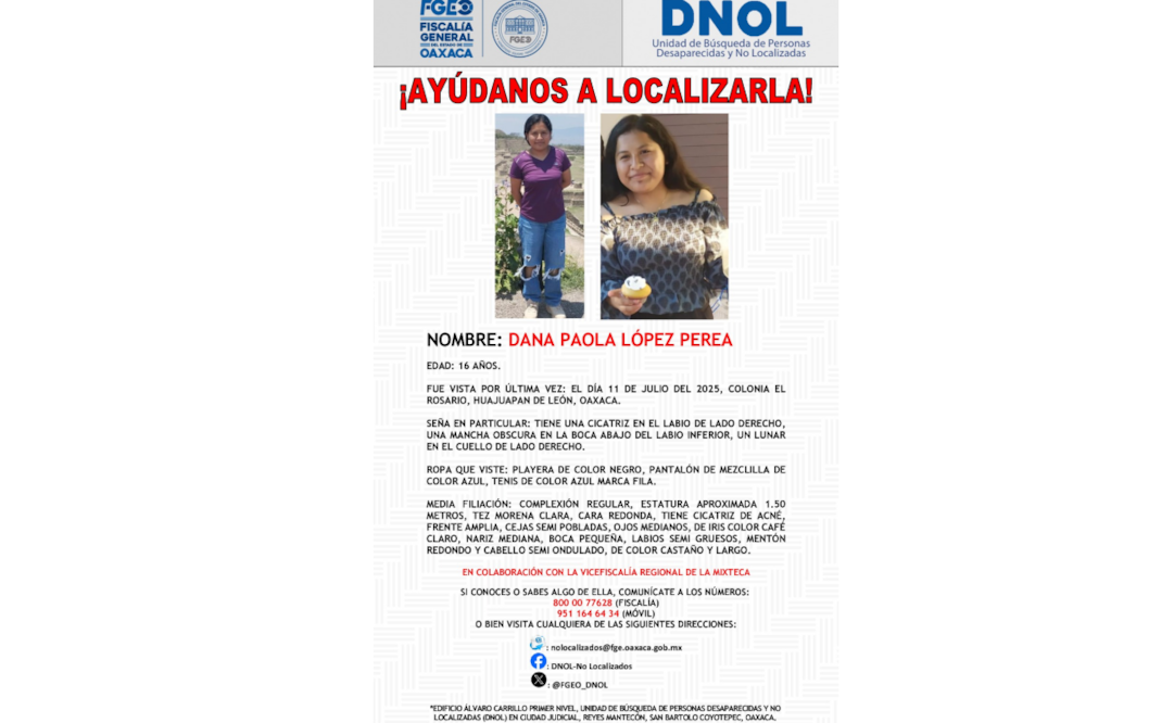 Ficha de búsqueda de la menor Dana Paola López Perea. Foto: Especial