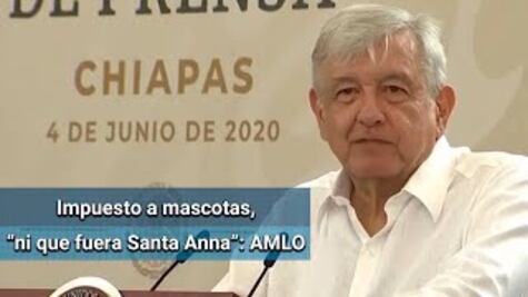 AMLO desmiente supuesto impuesto por tener mascotas; ni que fuera yo Santa Anna, dice