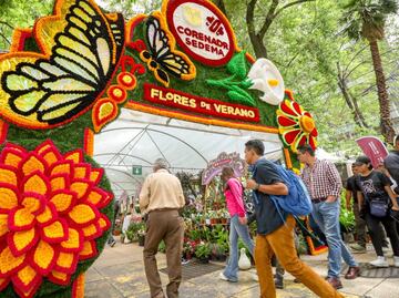 Cuándo es el Festival Flores de Verano en CDMX