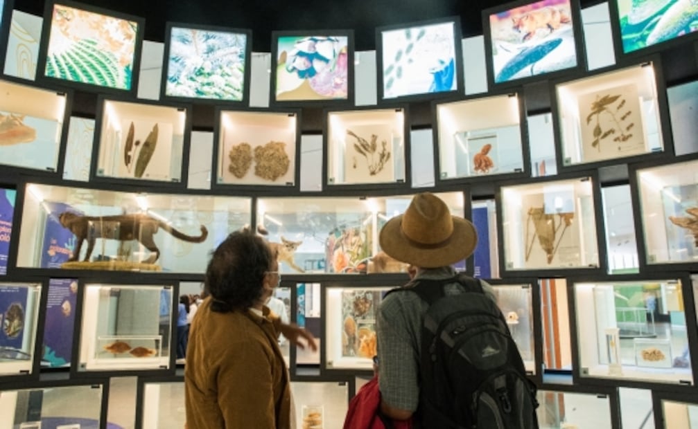 Pabellón Nacional de la Biodiversidad, un museo para romper mitos