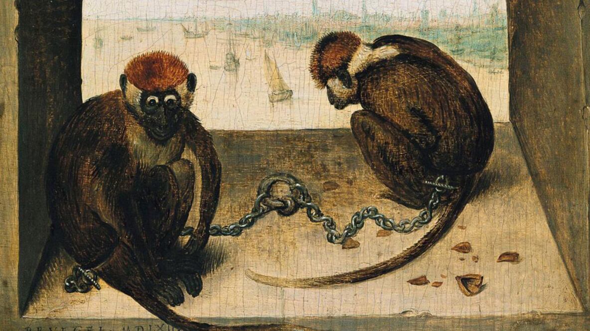La intrigante historia detrás del cuadro "Dos monos" de Brueghel
