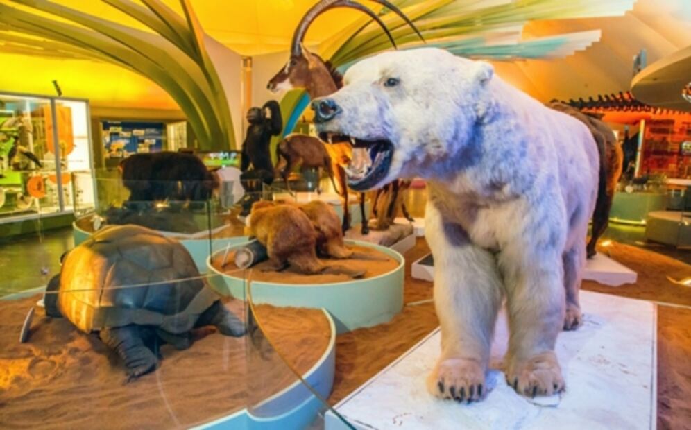 Actividades para niños en vacaciones por menos de 100 pesos