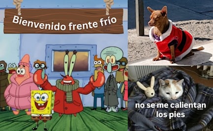 Frente Frío 13 en México: los mejores memes para congelar las risas