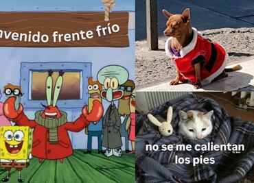 Frente Frío 13 en México: los mejores memes para congelar las risas