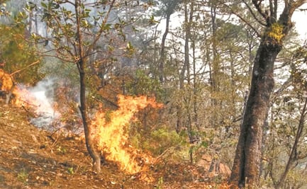Encuentran restos humanos al combatir incendio en Milpa Alta 