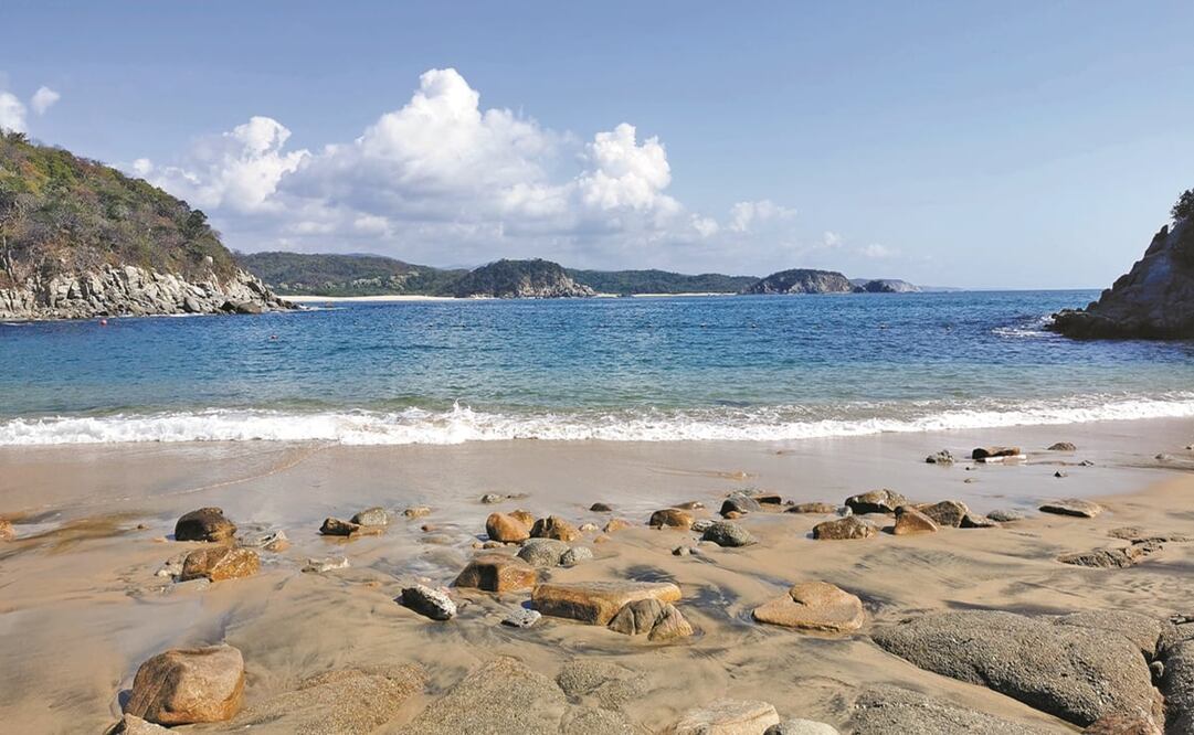 Foto: Archivo EL UNIVERSAL