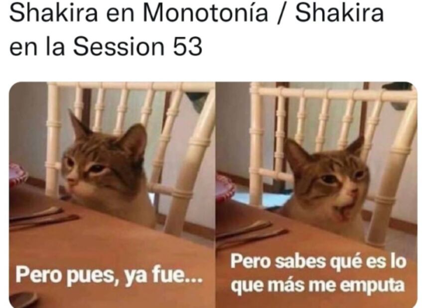 El desahogo de Shakira, un capítulo más en el drama de la tesis de Esquivel y la Guardia Nacional en el metro, entre los memes de la semana
