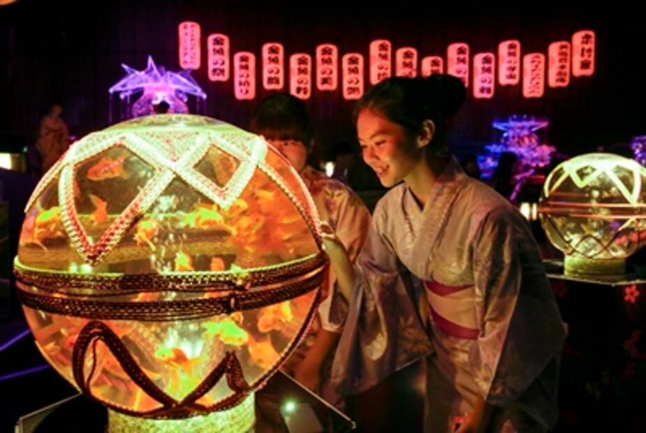 Una exposición en Tokio reinventa los acuarios tradicionales