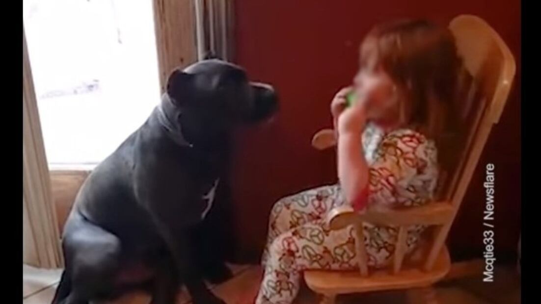 Fuente: Twitter @showmundialshow