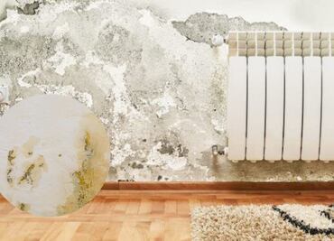 Qué es la humedad por capilaridad, según arquitectos