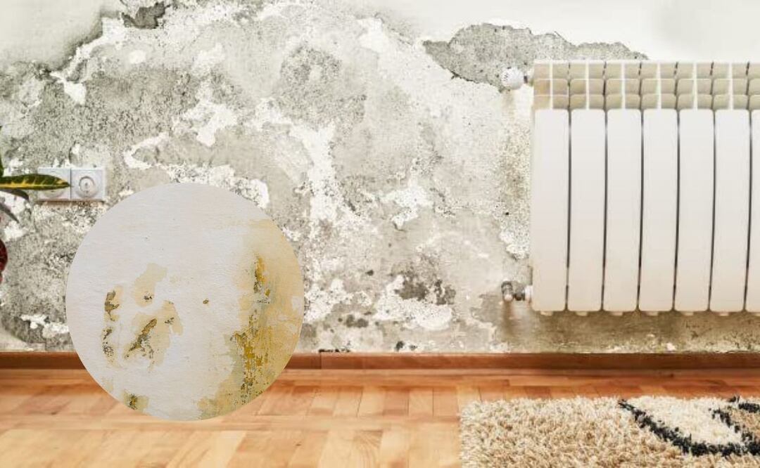 Soluciones efectivas para tu hogar. Fuente: Freepik.