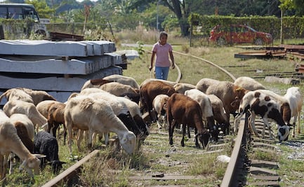 Comunidad indígena de Oaxaca solicita amparo contra Corredor Interoceánico