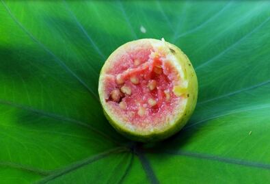 La guayaba podría ayudar a prevenir el cáncer