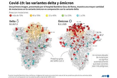 Primera "imagen" de ómicron revela que tiene muchas más mutaciones que delta