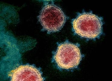 ¿Nueva arma contra el Covid?: descubren molécula capaz de bloquear todas las variantes