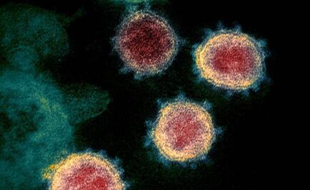 ¿Nueva arma contra el Covid?: descubren molécula capaz de bloquear todas las variantes