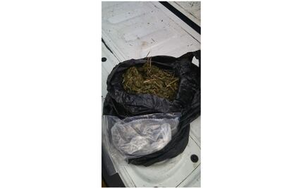 Perro policía detecta marihuana en las calles de Mérida 