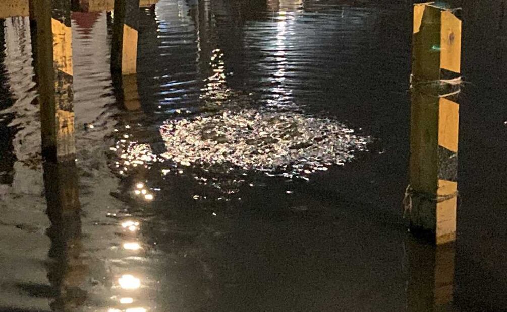 Foto: Gaspar Betancourt. EL UNIVERSAL