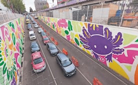 Morena defiende ajolotización de CDMX y uso de pintura morada; PAN señala que ven al ajolote como propaganda