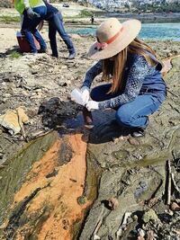 Atizapán revisa toxicidad del agua en presa Madín