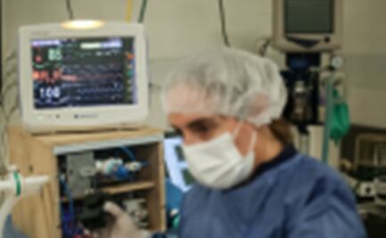 SFP debe sancionar a director del IMSS por caso de la empresa del hijo de Bartlett: PRD