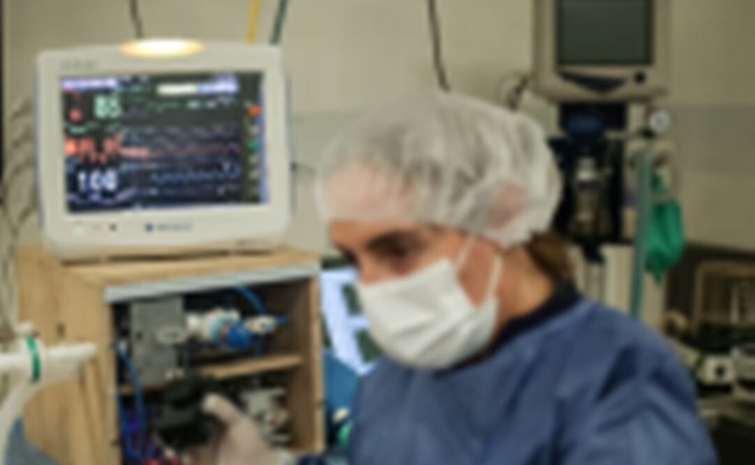 Foto: Archivo/EL UNIVERSAL