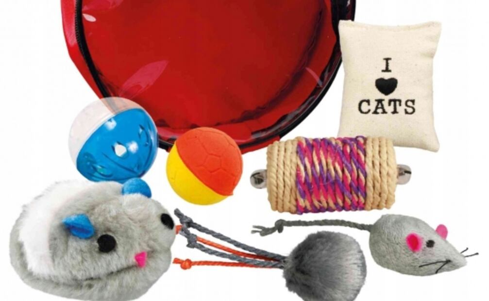 Hoteles pet friendly en México para viajar con tu mascota