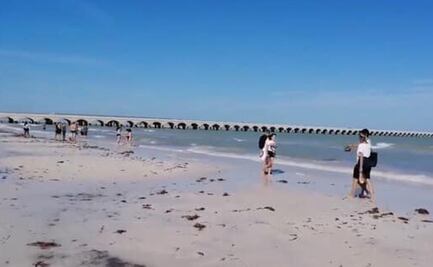 Tras cierre por Semana Santa, reabren playas y malecones en Yucatán