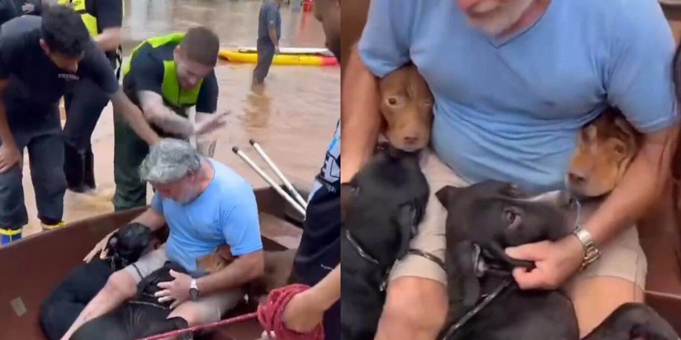Rescatistas y lugareños ayudaron a un hombre a salvar a sus perritos de las inundaciones en Brasil. FOTO: CAPTURA