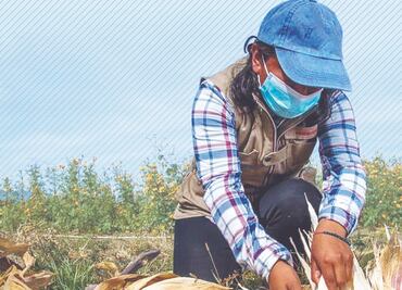 El empleo formal registra retroceso en ocho estados