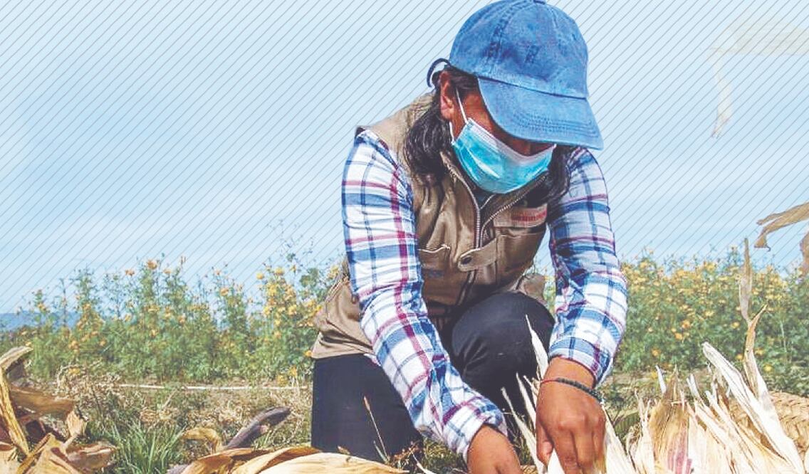 Caen 14 delincuentes en Tláhuac e Iztapalapa. Archivo El Universal