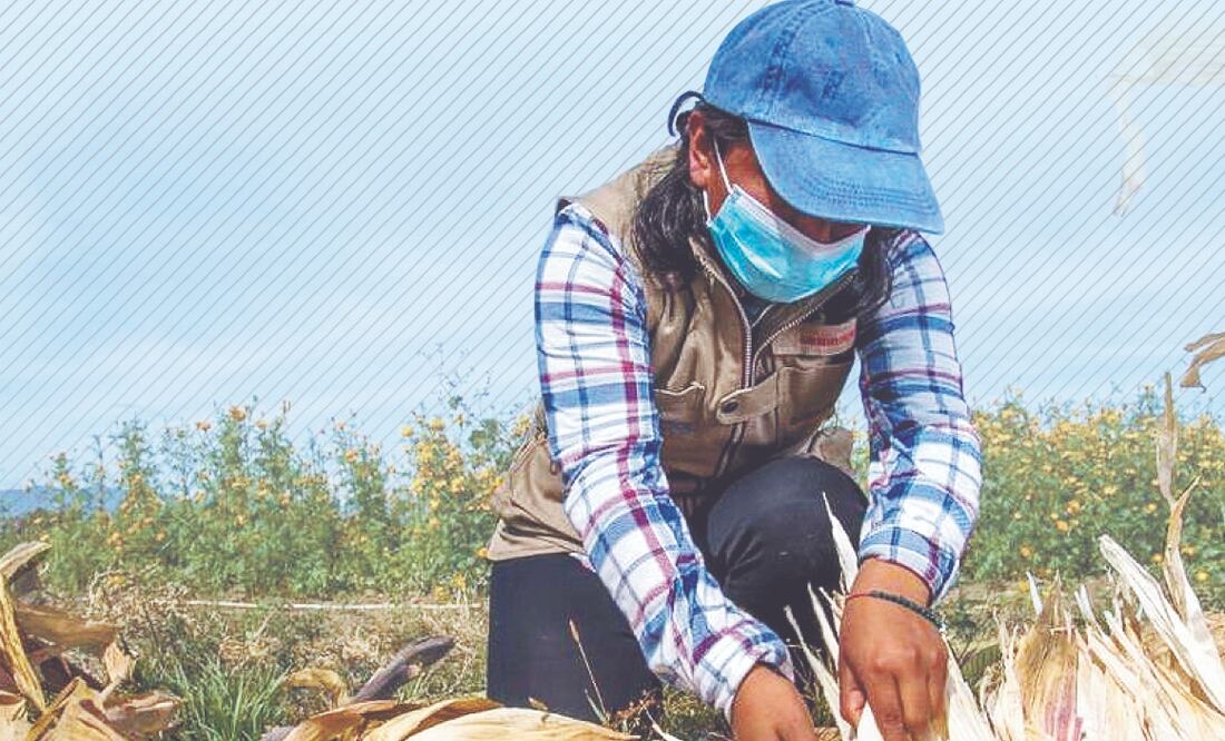 Caen 14 delincuentes en Tláhuac e Iztapalapa. Archivo El Universal