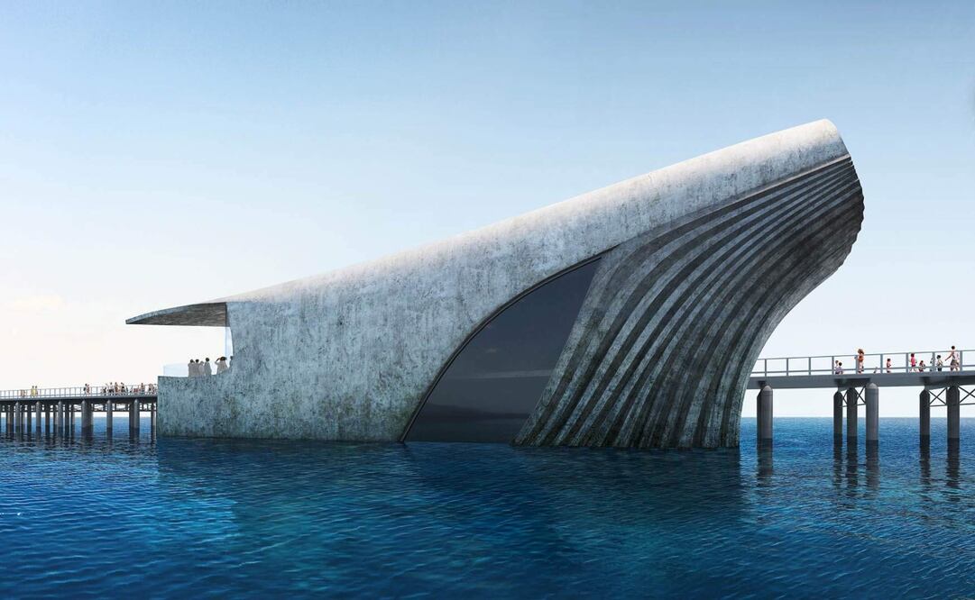 El observatorio simulará una ballena saliendo del agua. Foto: Baca Architects