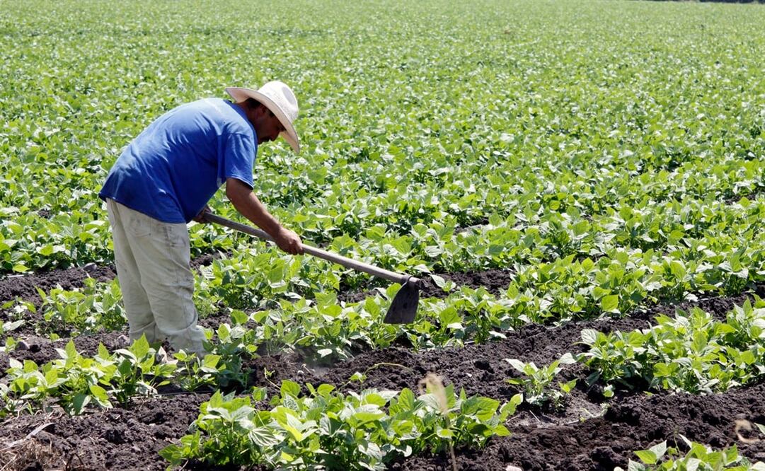 Foto: Archivo/ EL UNIVERSAL