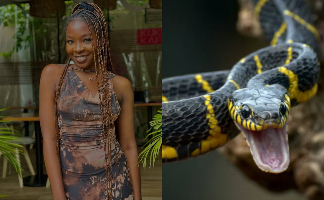 Muere Ifunanya Nwangene, exparticipante de "The Voice". Foto: Redes sociales