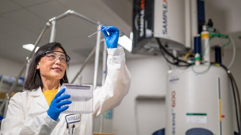 Cáncer: las innovaciones que revolucionan la lucha contra esta enfermedad