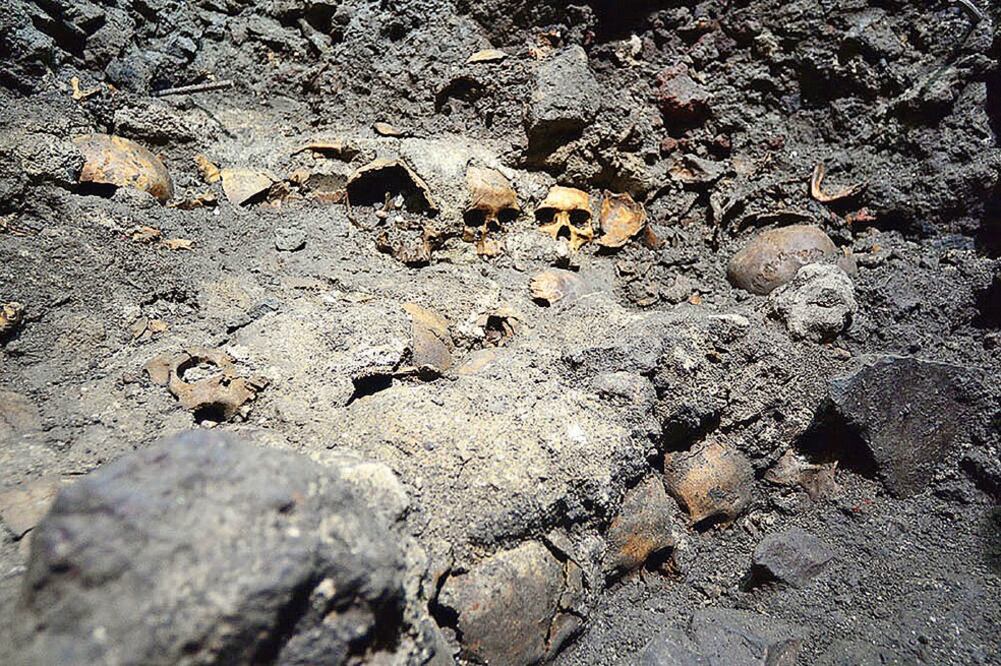 El descubrimiento de al menos 35 cráneos se realizó en el predio número 24 de la calle Guatemala durante los trabajos exploratorios que se realizaron entre febrero y junio pasados (CORTESÍA DEL INAH)