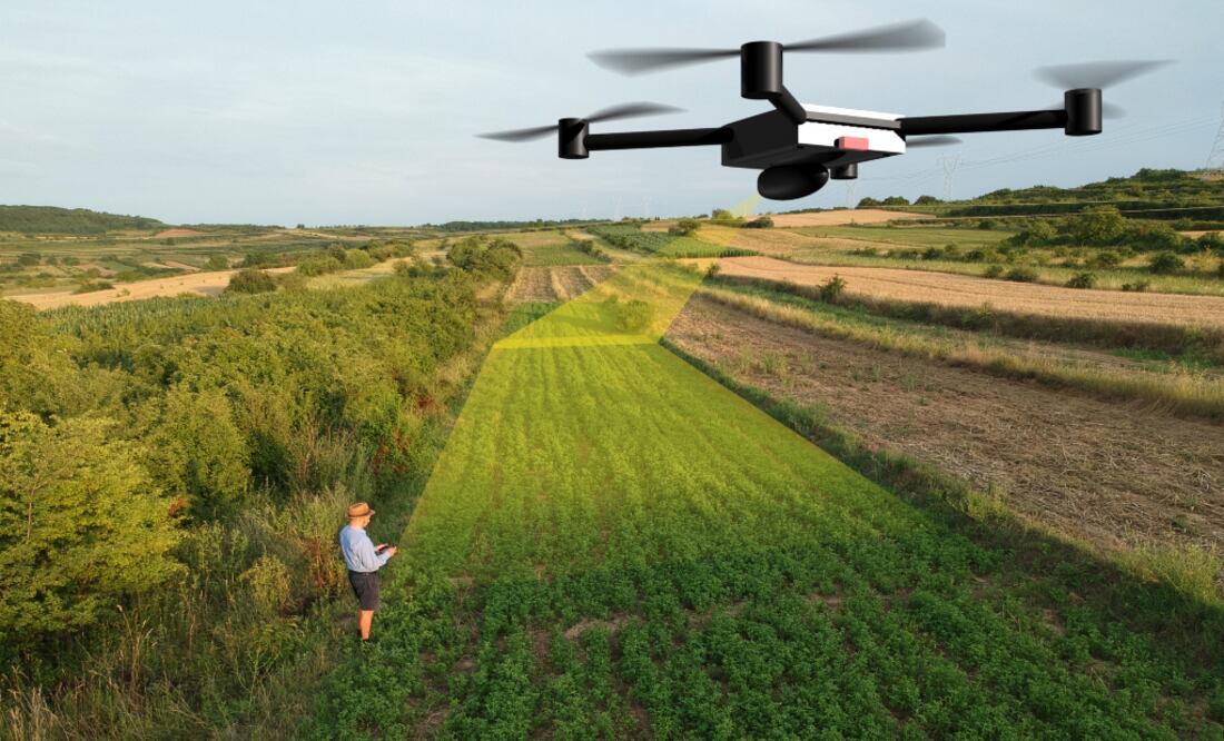 Con ayuda de vehículos aéreos no tripulados, es posible distribuir en un cultivo más de dos mil semillas en 10 minutos. /Istockphoto