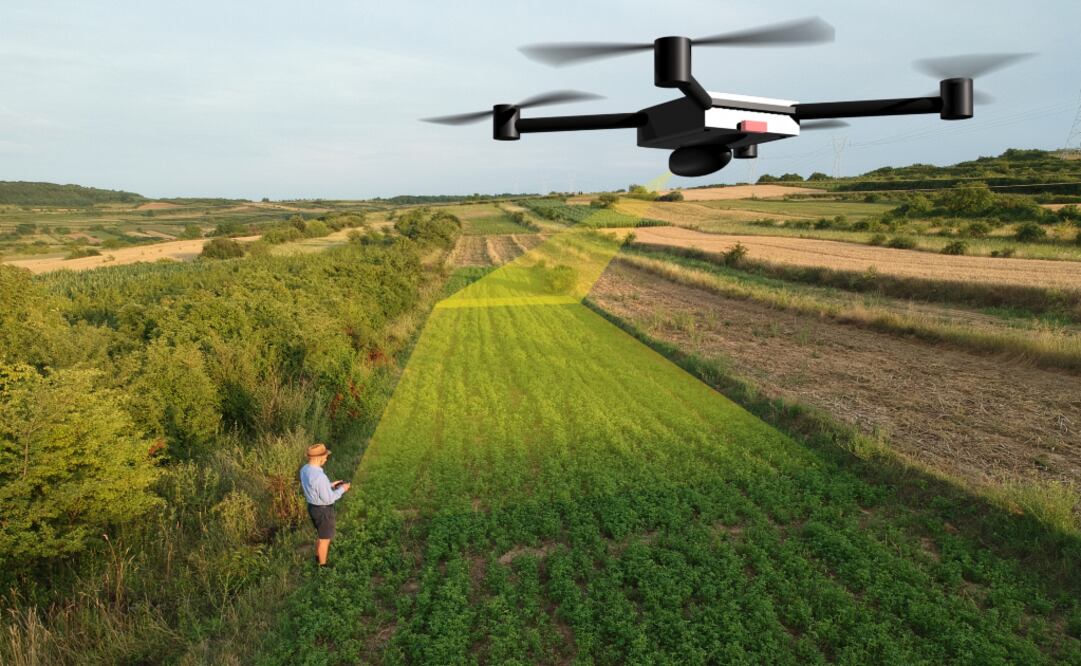 Con ayuda de vehículos aéreos no tripulados, es posible distribuir en un cultivo más de dos mil semillas en 10 minutos. /Istockphoto