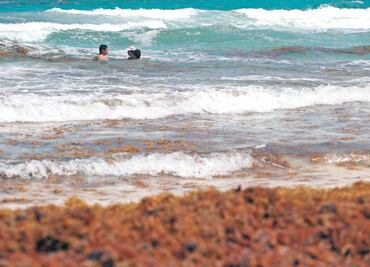 Instalan barrera contra sargazo en la Riviera Maya