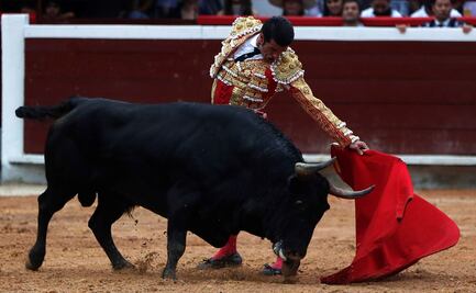 Prohibición de corrida de toros pone en riesgo más de 30 mil empleos