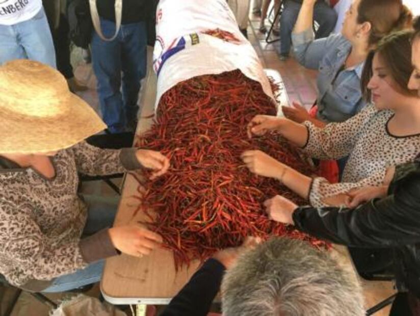 ¿Conoces las 16 cosas que sólo pueden producirse en México?