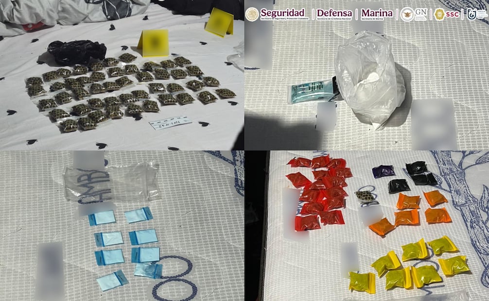 Detienen a cinco presuntos integrantes de “Los Kena” en la alcaldía Coyoacán; aseguran drogas y catean inmuebles
Foto: Especial.