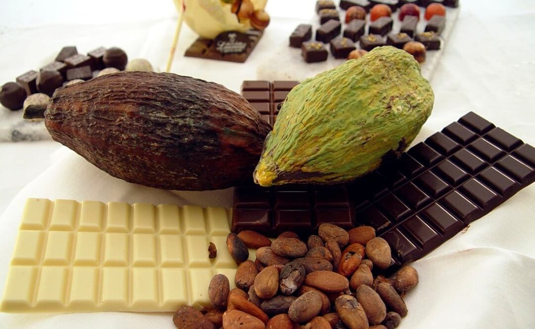 Chocolate, el elixir de los dioses. Foto: Álvaro Contreras