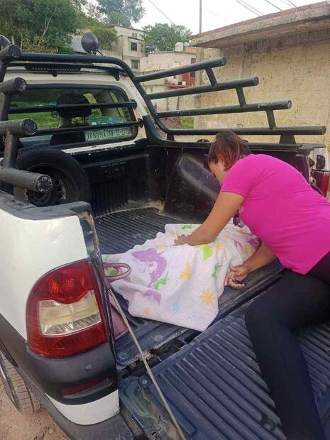 Foto: Patitas suaves Xalapa