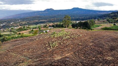 “El gobierno le da migajas a los jóvenes indígenas”