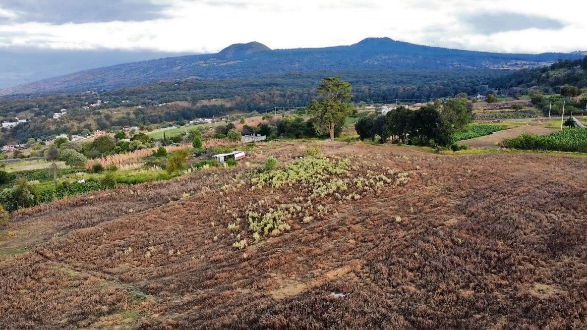 Una particular donó el terreno en Milpa Alta, donde se construirá próximamente la ULIM; por el momento no hay indicios de que ahí estará el plantel. Foto: Diego Prado / EL UNIVERSAL
