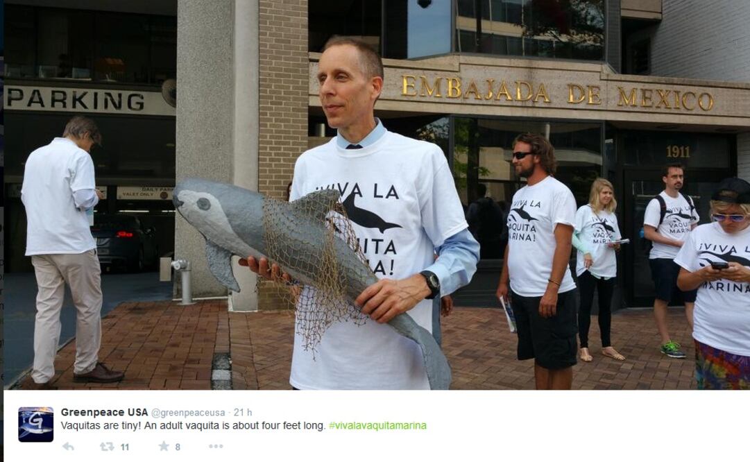 Activistas se congregaron frente a la embajada mexicana para pedir una prohibición permanente del comercio de las especies (FOTO TOMADA DE TWITTER)