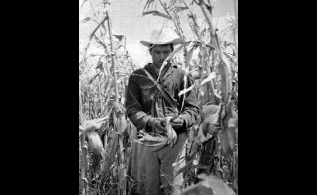 Campesino en Tamaulipas, en 1963. Foto: Casasola: Fotógrafo vía Mediateca INAH