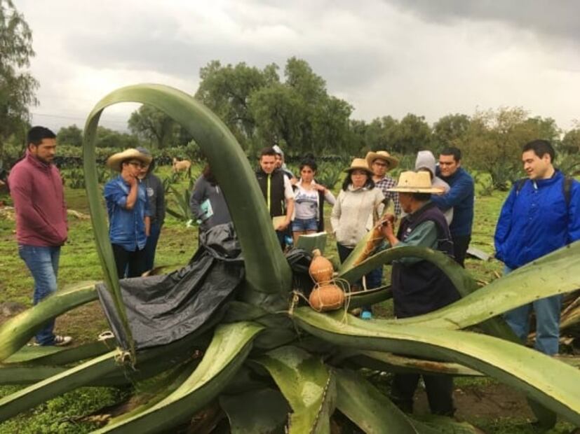 Teotihuacán: cuevas y pulque durante un tour en bicicleta